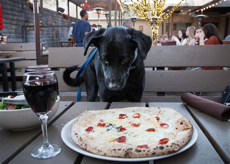 pet friendly restaurants near me